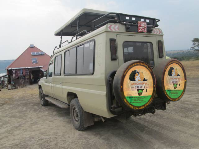 game drive safari guide