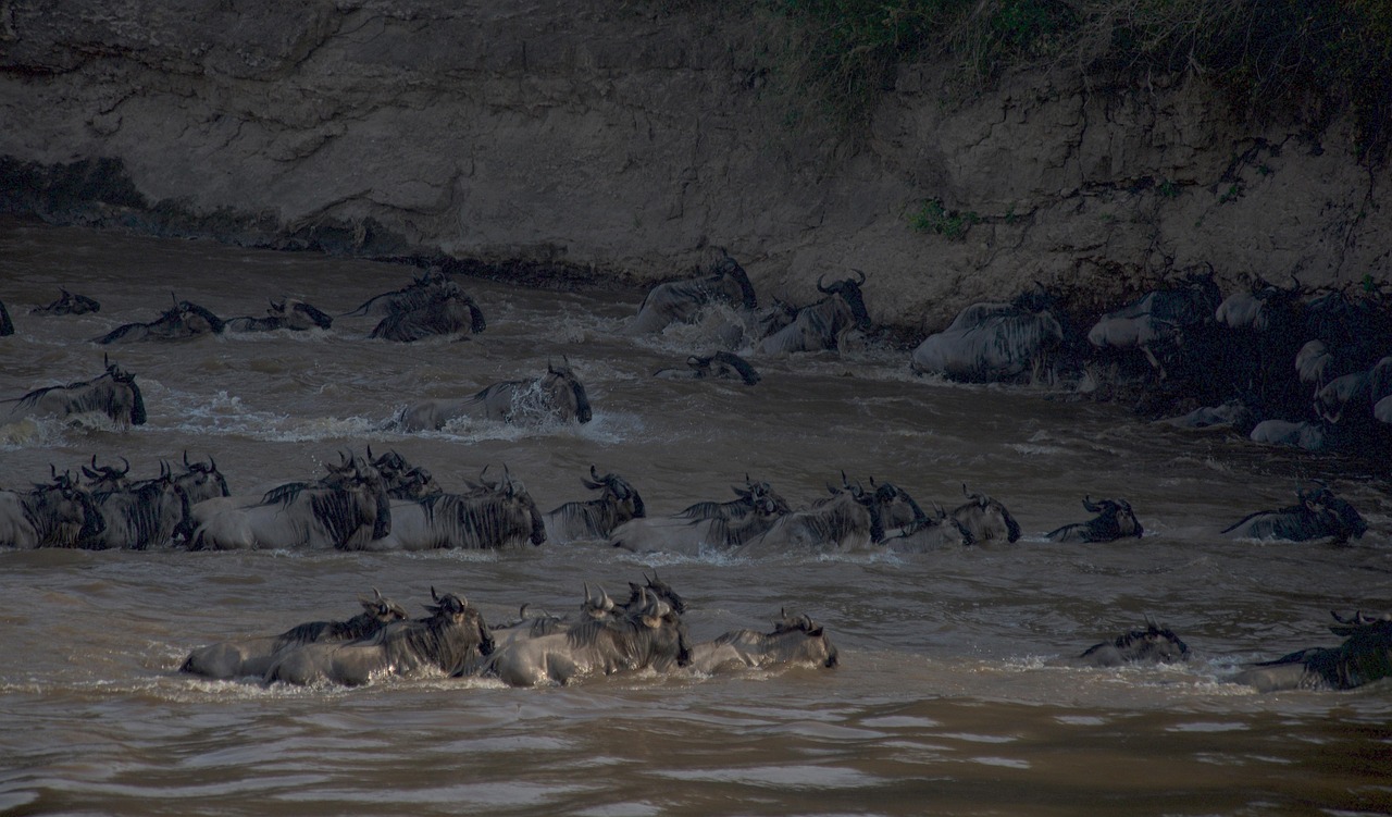 Great Migration Safari Itinerary
