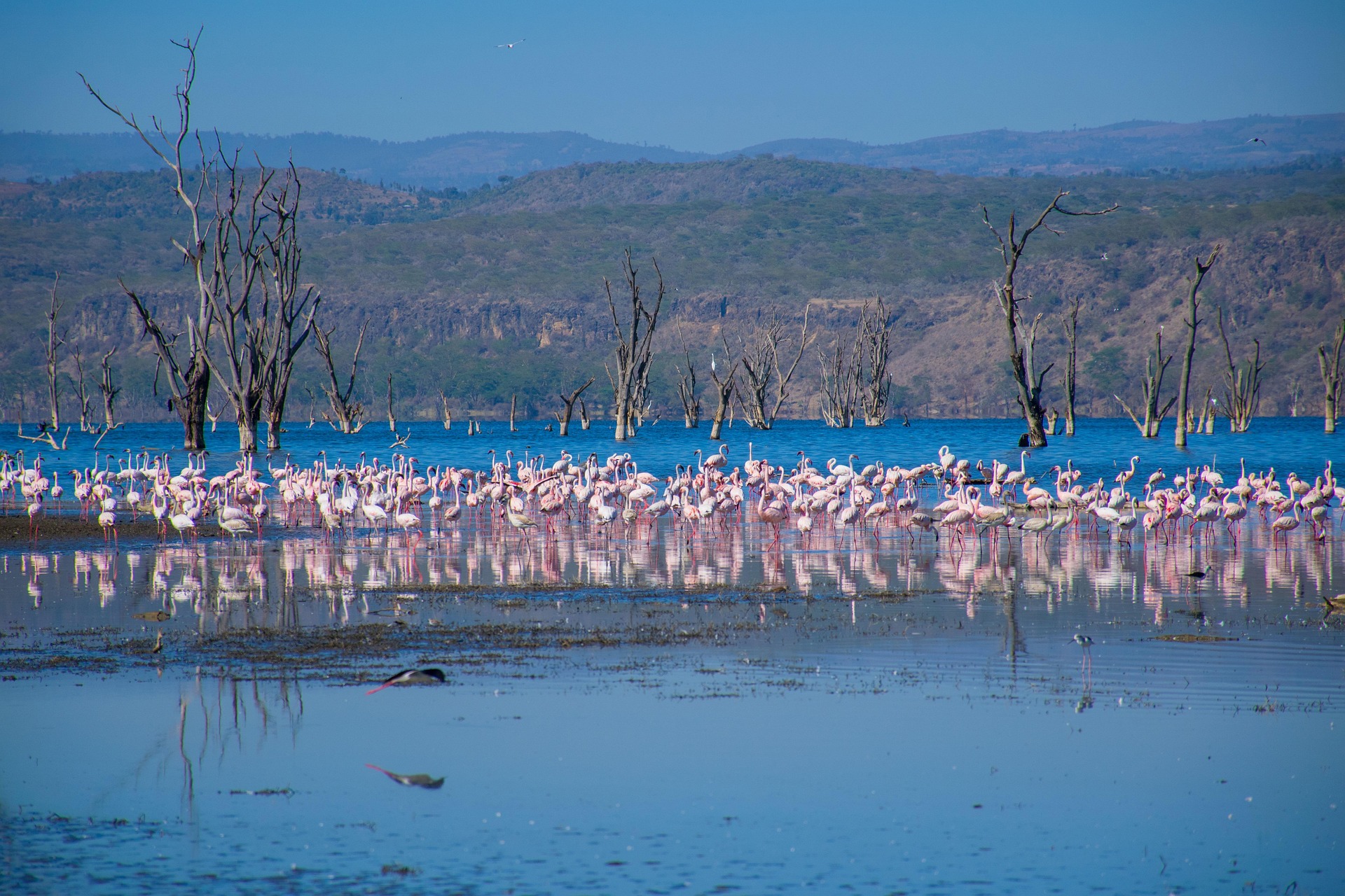 Lake Nakuru National