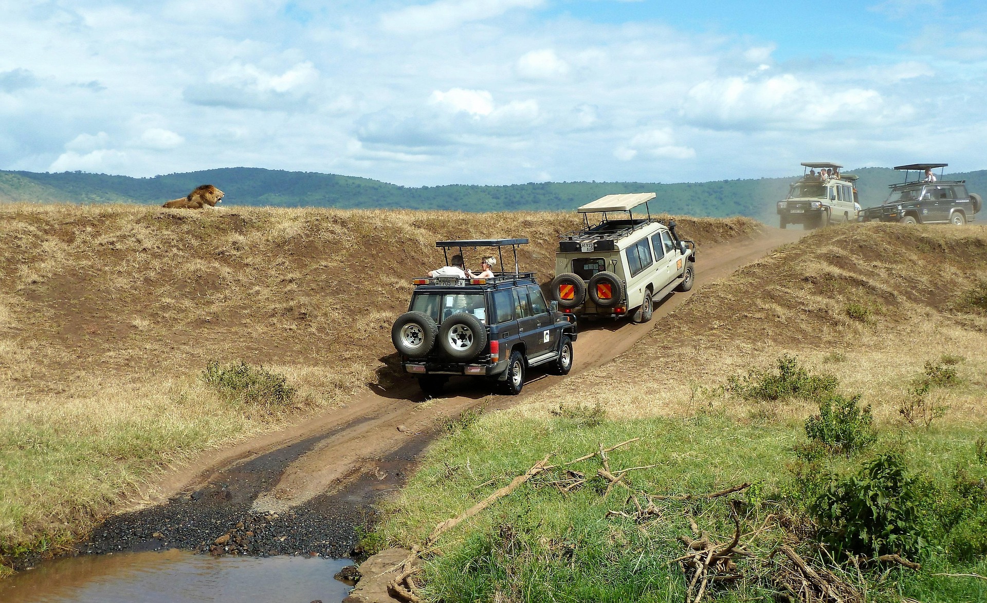 Ngorongoro Crater safari guide
