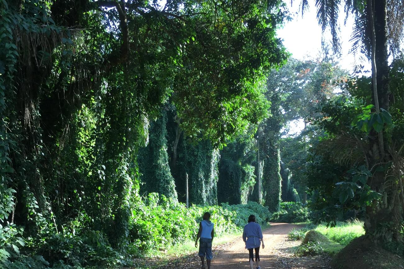 Botanical Gardens