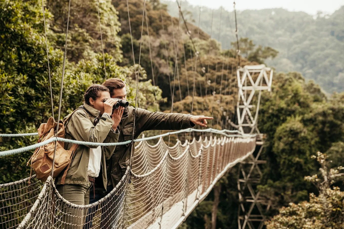 Canopy Walk