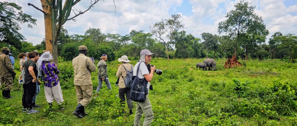 African walking safari guide