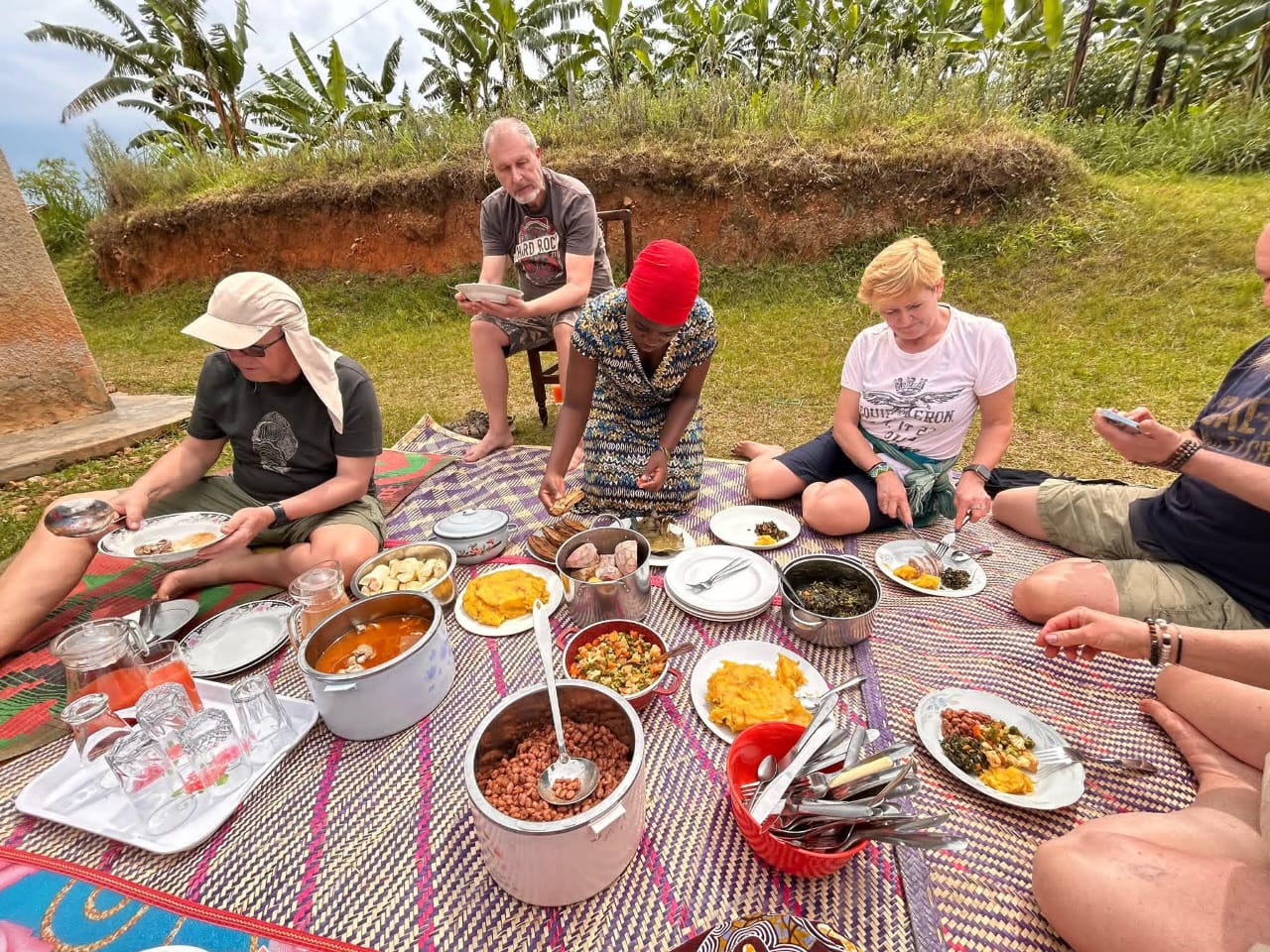 Africa safari experiences guide