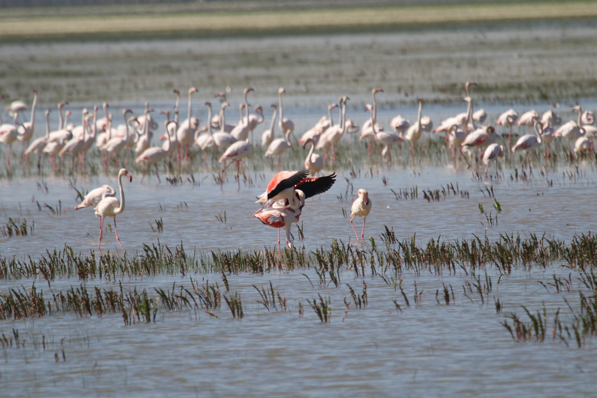 Lake Manyara National Park