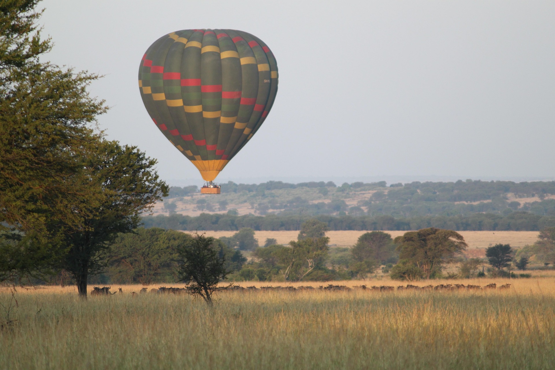 Masai Mara Great Migration