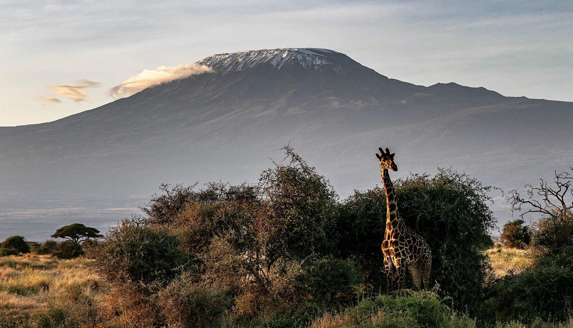 Mount Kilimanjaro climbing guide