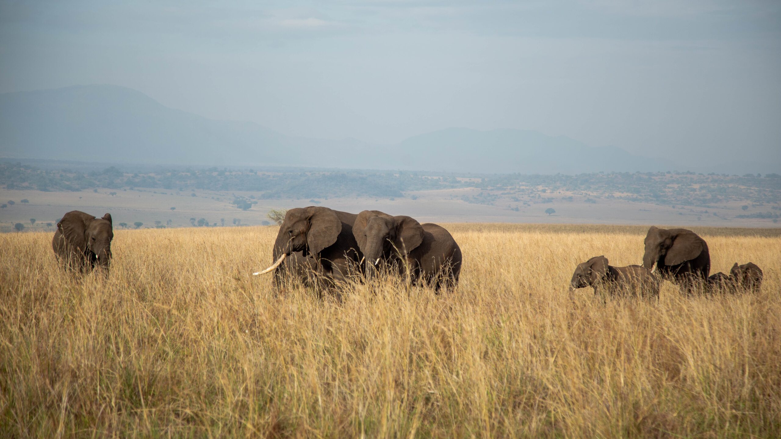 Kidepo Valley National Park guide