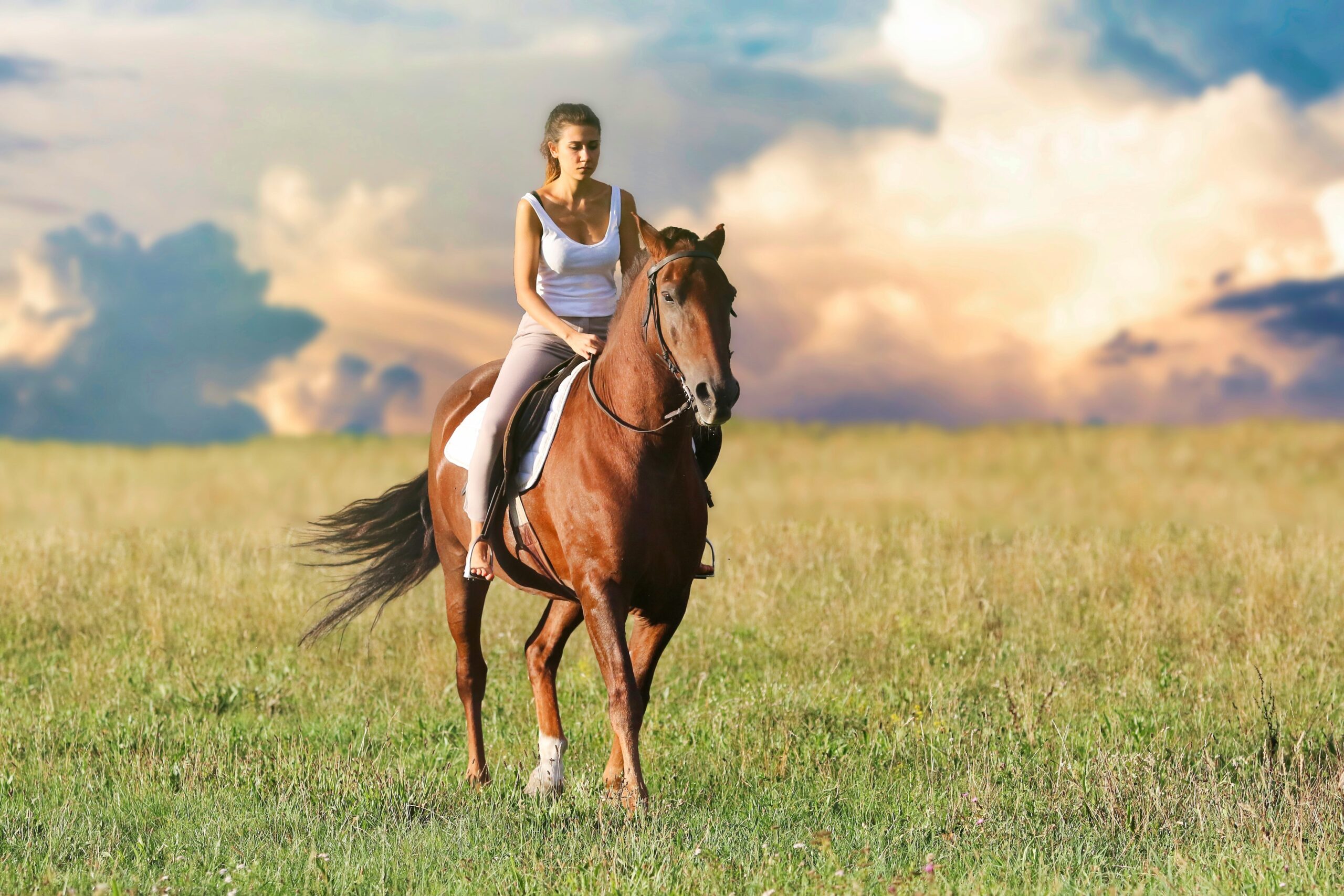 Horseback Safaris