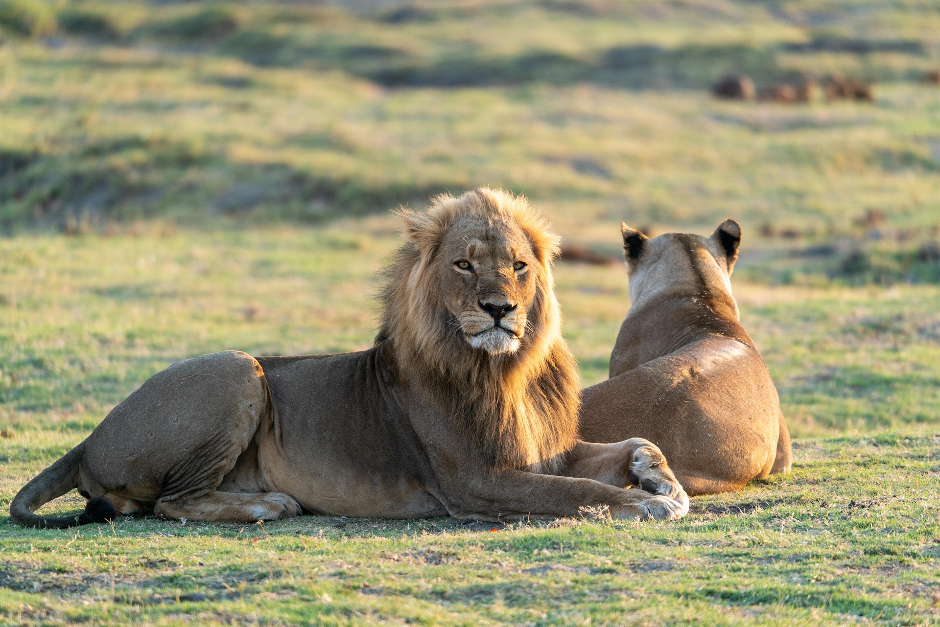 Kenya Tanzania Plains Coast