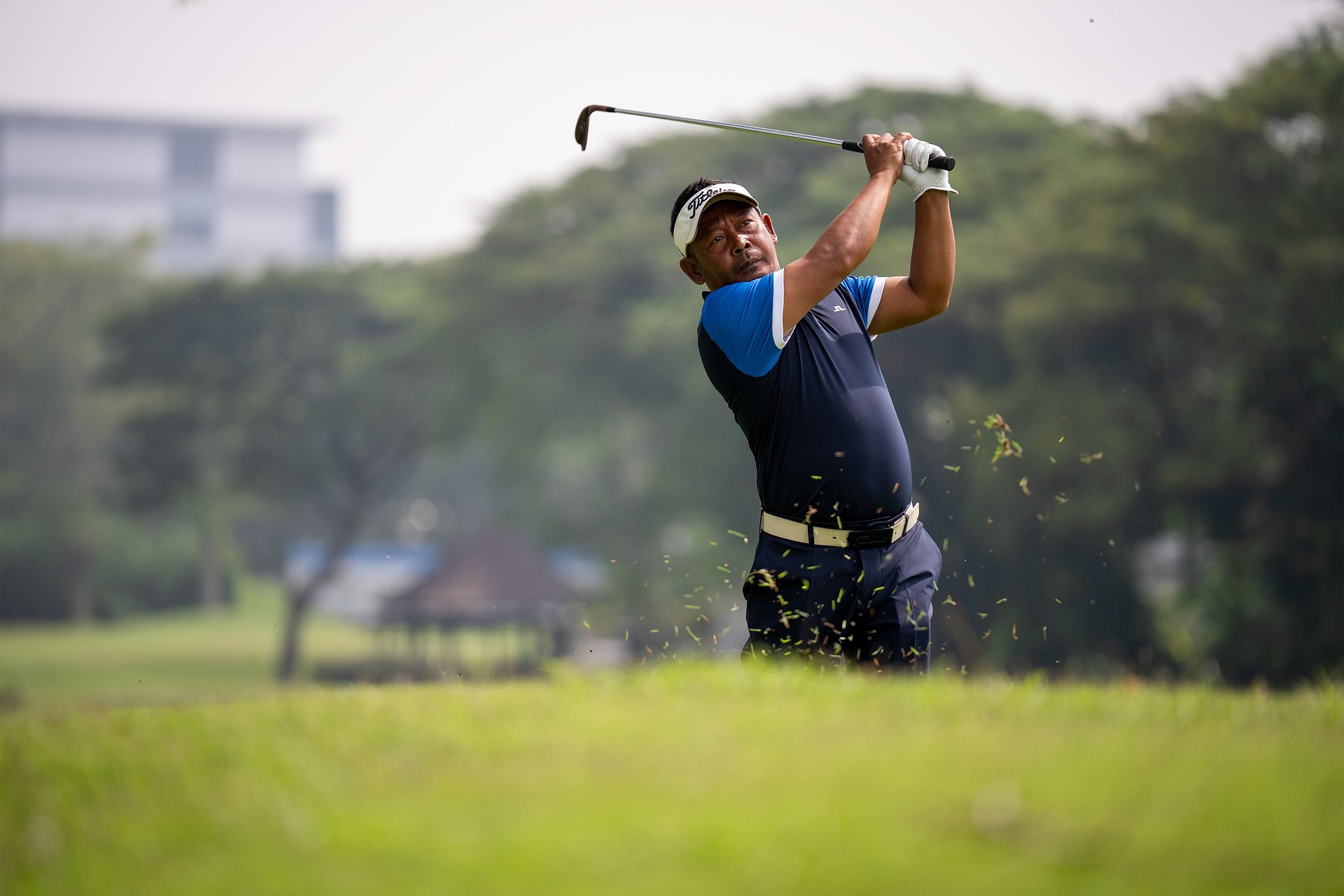 Golf at Toro Golf Club