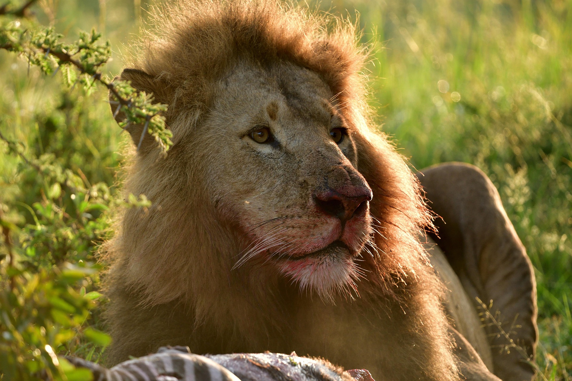 Tanzania Walking Safari Ngorongoro